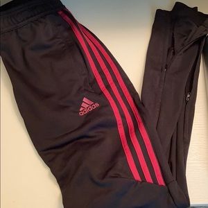 Adidas Climacool Burgandy Striped Joggers